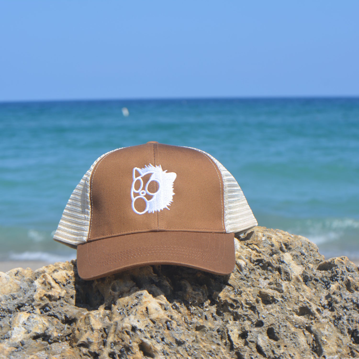 Eco Trucker Brown Cap